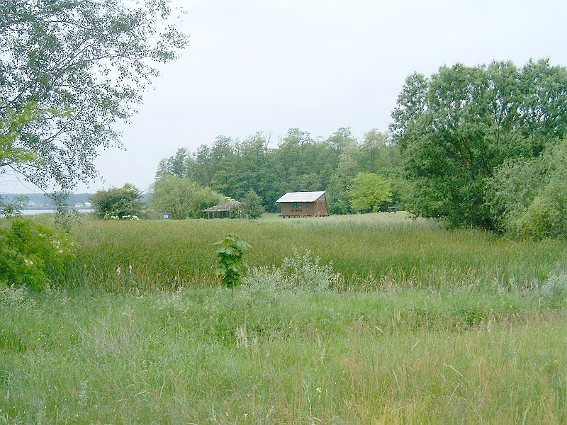 20100530 005.jpg